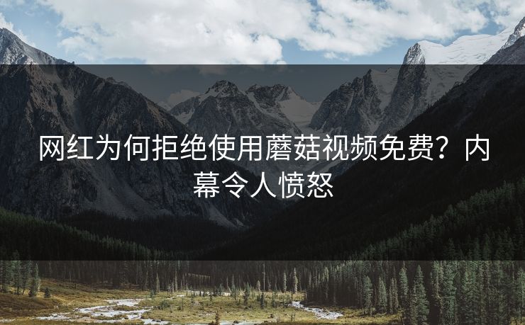 网红为何拒绝使用蘑菇视频免费？内幕令人愤怒