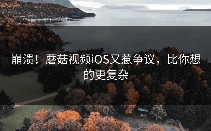 崩溃！蘑菇视频iOS又惹争议，比你想的更复杂