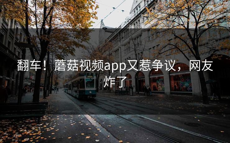 翻车！蘑菇视频app又惹争议，网友炸了