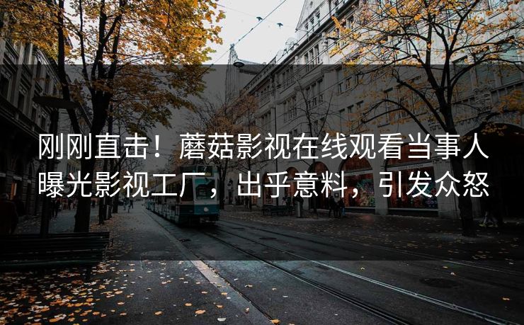 刚刚直击！蘑菇影视在线观看当事人曝光影视工厂，出乎意料，引发众怒
