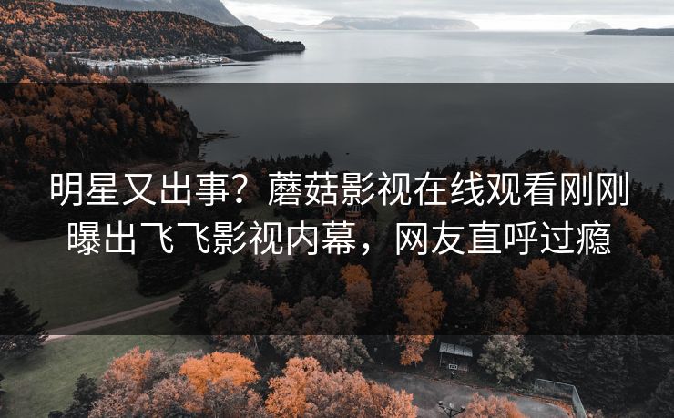 明星又出事？蘑菇影视在线观看刚刚曝出飞飞影视内幕，网友直呼过瘾