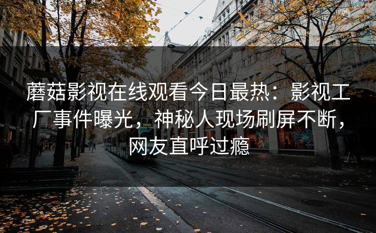 蘑菇影视在线观看今日最热：影视工厂事件曝光，神秘人现场刷屏不断，网友直呼过瘾