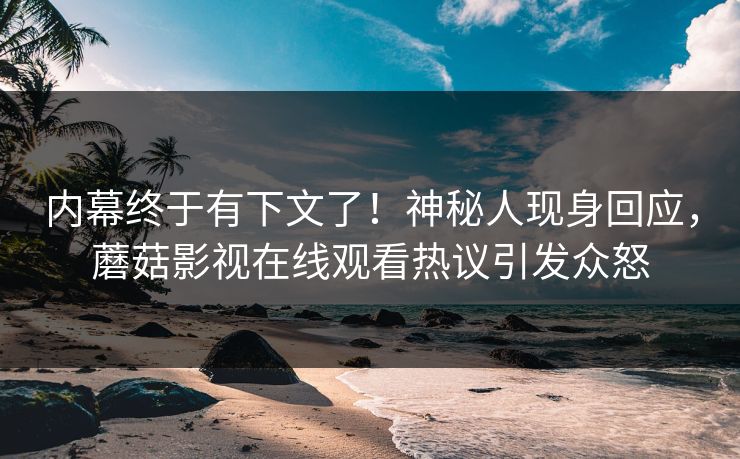 内幕终于有下文了！神秘人现身回应，蘑菇影视在线观看热议引发众怒