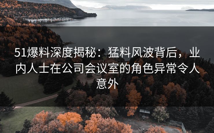51爆料深度揭秘：猛料风波背后，业内人士在公司会议室的角色异常令人意外