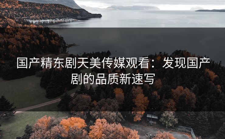 国产精东剧天美传媒观看：发现国产剧的品质新速写