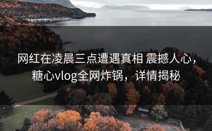 网红在凌晨三点遭遇真相 震撼人心,糖心vlog全网炸锅,详情揭秘
